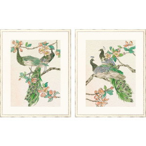 Emerald Peacock I S/2 Framed Art