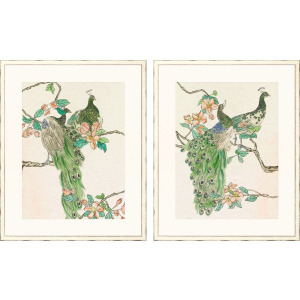 Emerald Peacock II S/2 Framed Art