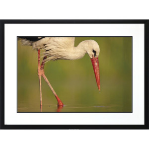Collected Calm Framed Art