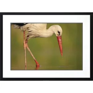 Collected Calm Framed Art