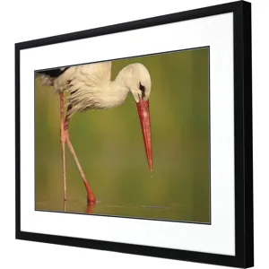 Collected Calm Framed Art