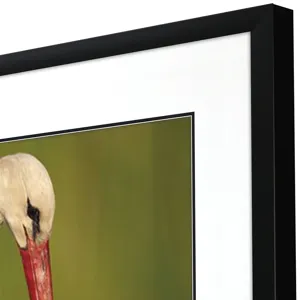 Collected Calm Framed Art