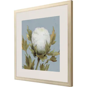 Cotton Balls I Framed Art