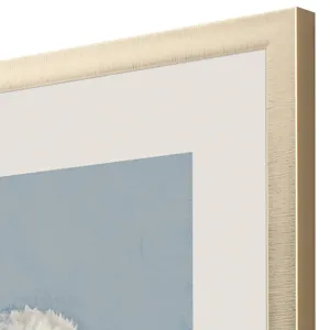 Cotton Balls II Framed Art