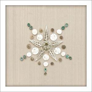 Caparazon I Framed Art