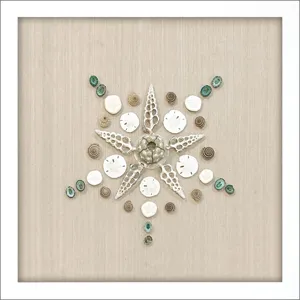 Caparazon I Framed Art