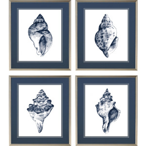 Quiet Conch S/4 Framed Art