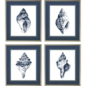Quiet Conch S/4 Framed Art