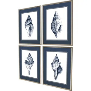 Quiet Conch S/4 Framed Art
