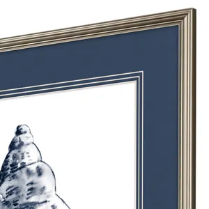 Quiet Conch S/4 Framed Art