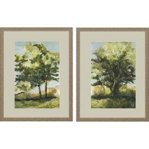 Calming Vista S/2 Framed Art