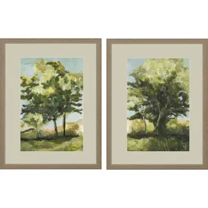 Calming Vista S/2 Framed Art