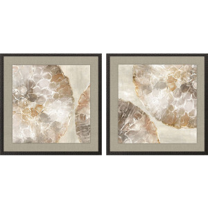 Golden Medallions S/2 Framed Art