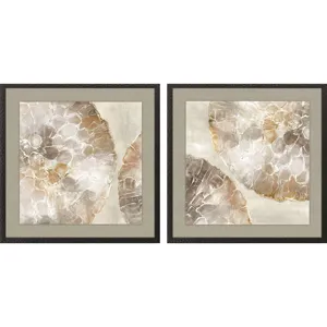Golden Medallions S/2 Framed Art