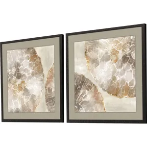 Golden Medallions S/2 Framed Art