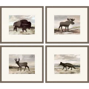 Wilderness Explorer S/4 Framed Art