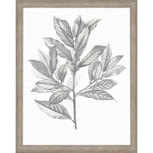 Silvered Leaves III Framed Art
