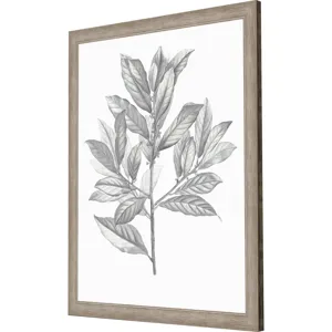 Silvered Leaves III Framed Art