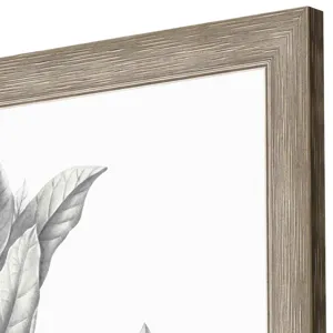 Silvered Leaves III Framed Art
