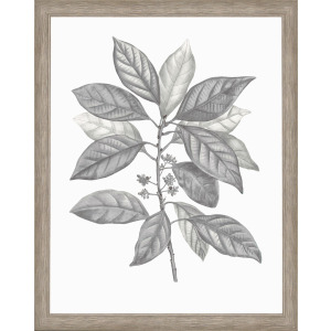 Silvered Leaves IV Framed Art