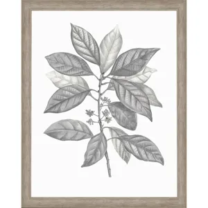 Silvered Leaves IV Framed Art