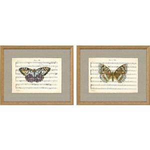 Musical Butterflies S/2 Framed Art