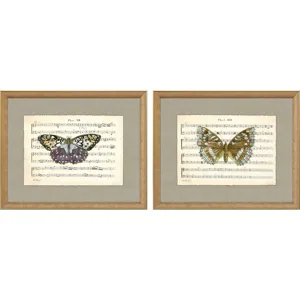 Musical Butterflies S/2 Framed Art