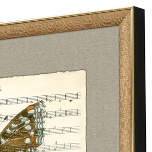 Musical Butterflies S/2 Framed Art