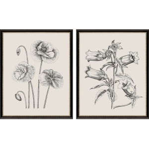 Garden Sketch S/2 Framed Art