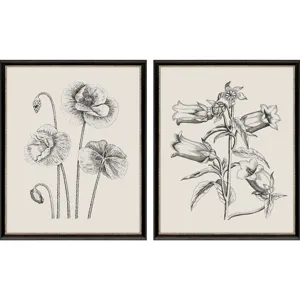Garden Sketch S/2 Framed Art