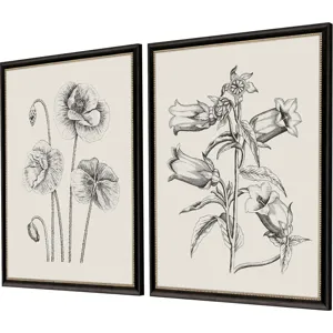Garden Sketch S/2 Framed Art