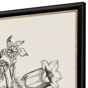 Garden Sketch S/2 Framed Art