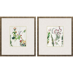 Forest Treasure S/2 Framed Art