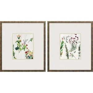 Forest Treasure S/2 Framed Art