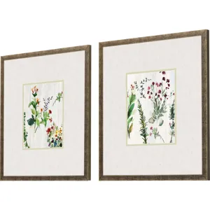 Forest Treasure S/2 Framed Art