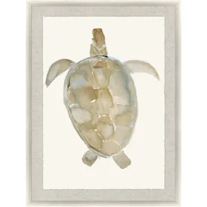 Neutral Turtle I Framed Art