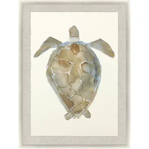 Neutral Turtle II Framed Art