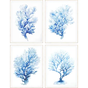 Indigo Coral S/4 Framed Art