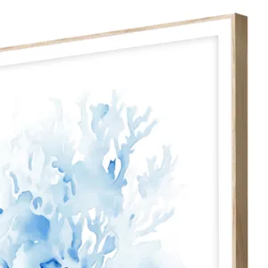 Indigo Coral S/4 Framed Art