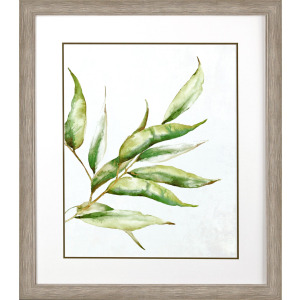 Willow Branch I Framed Art