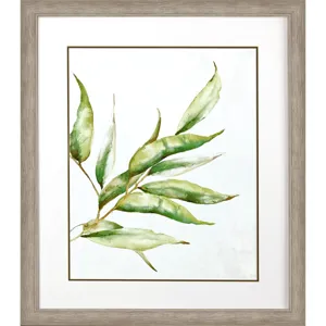 Willow Branch I Framed Art