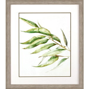Willow Branch II Framed Art