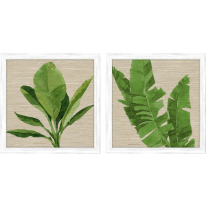 Palm Isle I S/2 Framed Art