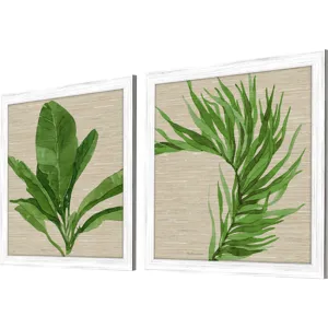 Palm Isle II S/2 Framed Art