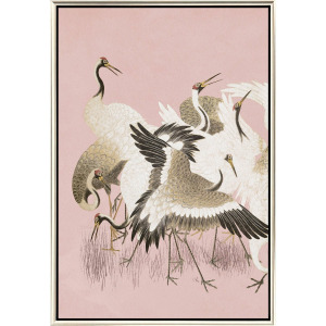 Curious Cranes - Plumule - Canvas
