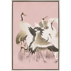 Curious Cranes - Plumule - Canvas