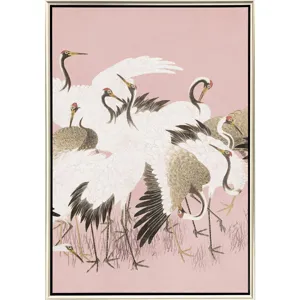 Curious Cranes - Pinna - Canvas