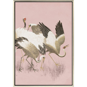 Curious Cranes - Preen - Canvas