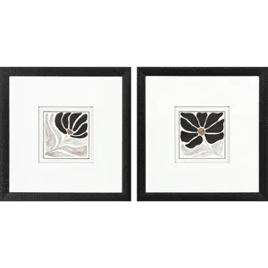 Modern Petals S/2 - Framed Art