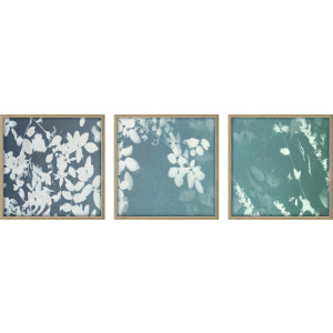 Still Floral I S/3 - Framed Art